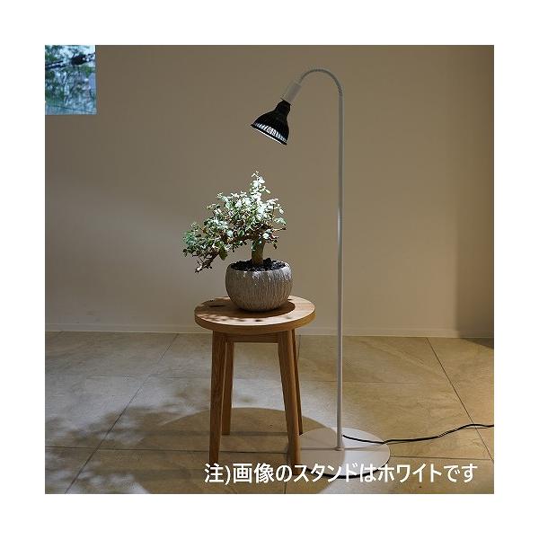 BARREL(バレル) 専用ライトスタンド BA-ST184-BK フ | JChereヤフー