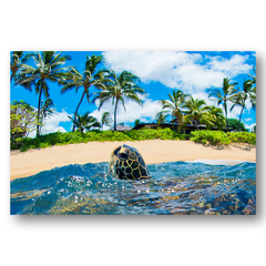 SKY BLUE / Clark Little（クラークリトル）のAlumi Prints通販