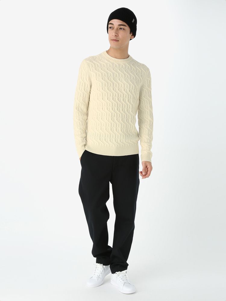 公式・アウトレット】メリノ ケーブルニット クルーセーター（メンズ