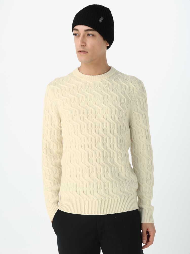 公式・アウトレット】メリノ ケーブルニット クルーセーター（メンズ