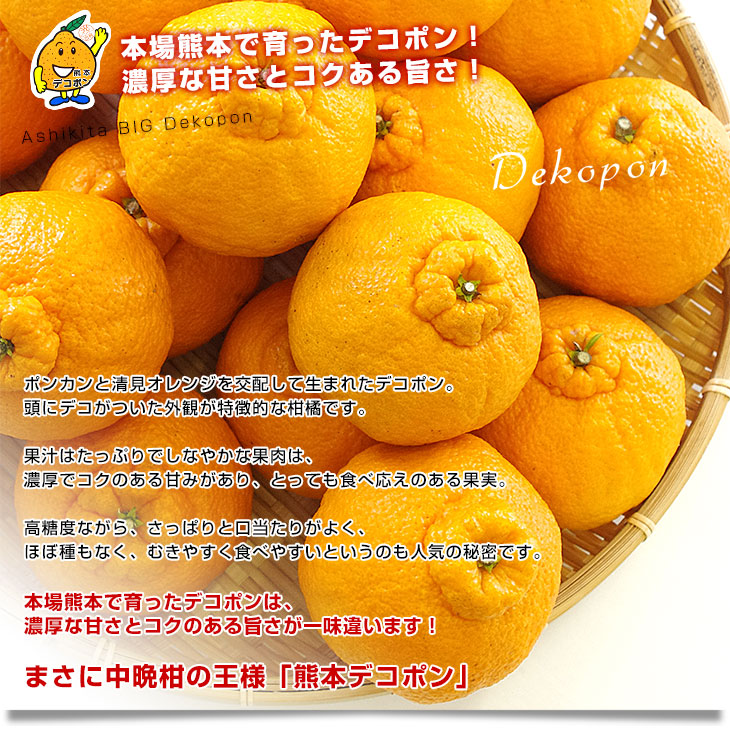 熊本県より産地直送 JAあしきた 大玉デコポン (良品) 3キロ (8玉から10