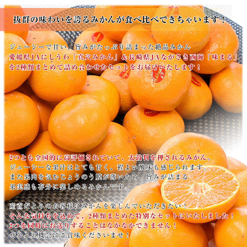 高級みかんギフト 愛媛県 JAにしうわ 真穴みかん＆長崎県 JAながさき