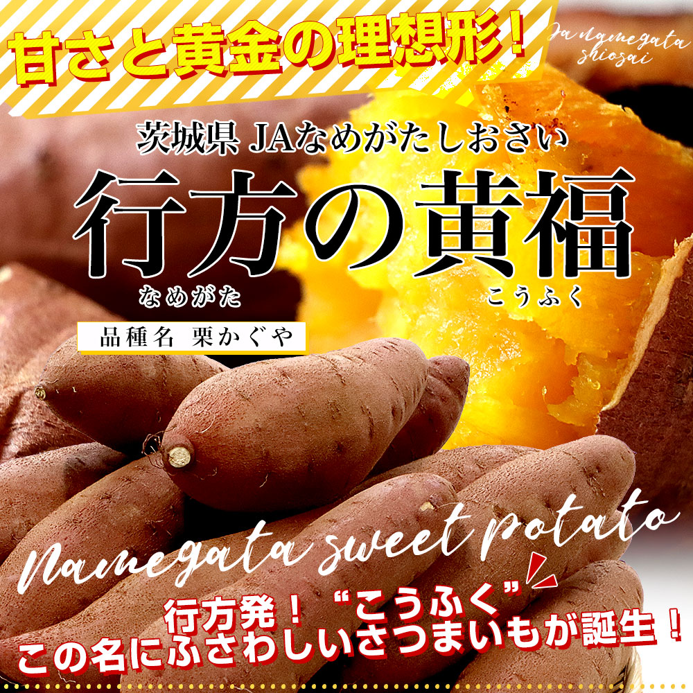 茨城県より産地直送 JAなめがたしおさい さつまいも 行方の黄福（なめ