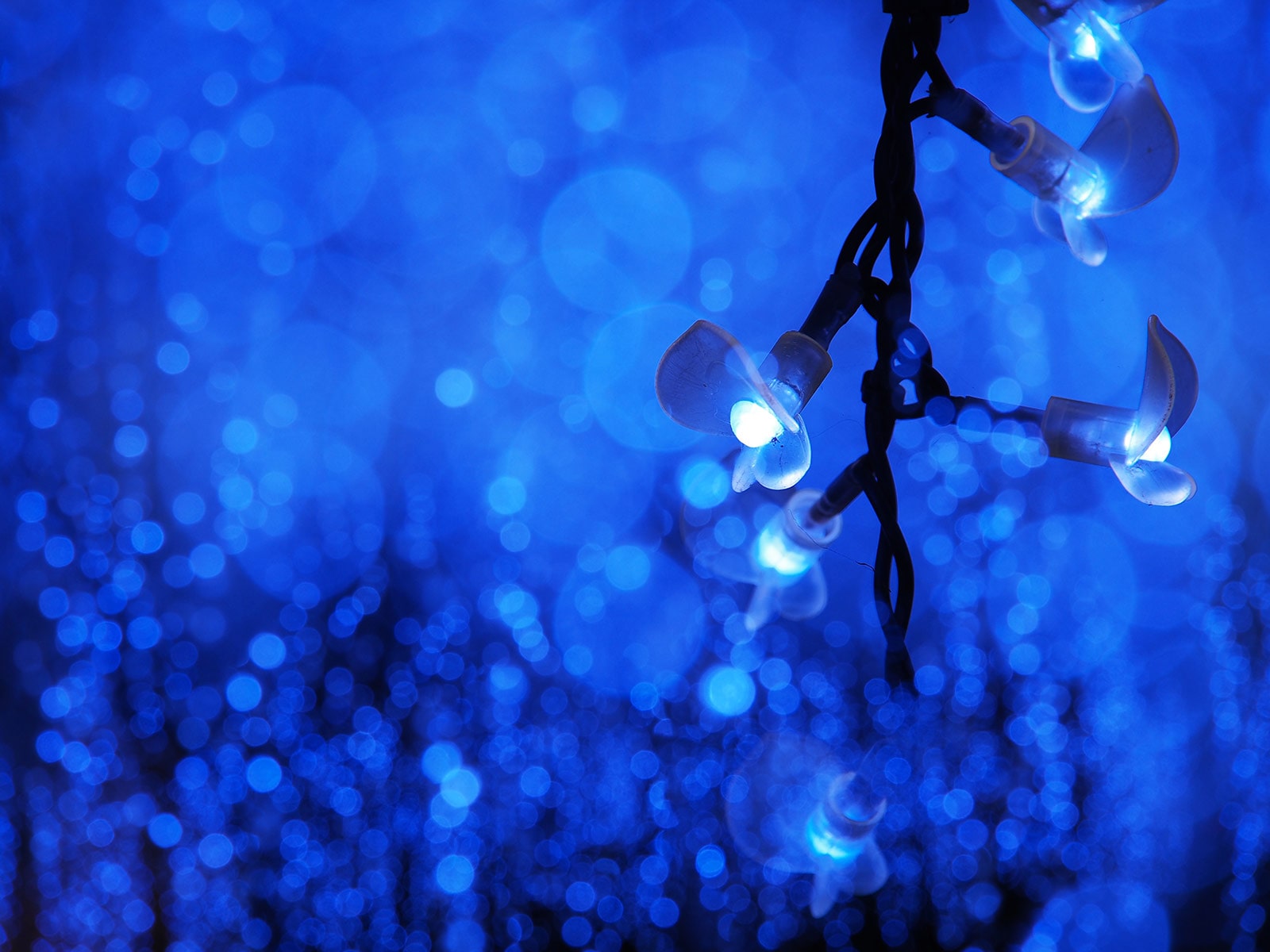 写真家 吉住 志穂 × M.ZUIKO DIGITAL ED 40-150mm F4.0 PRO ～美しい