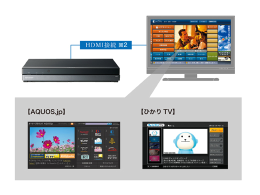 ネットチューナー AN-IP100：シャープ