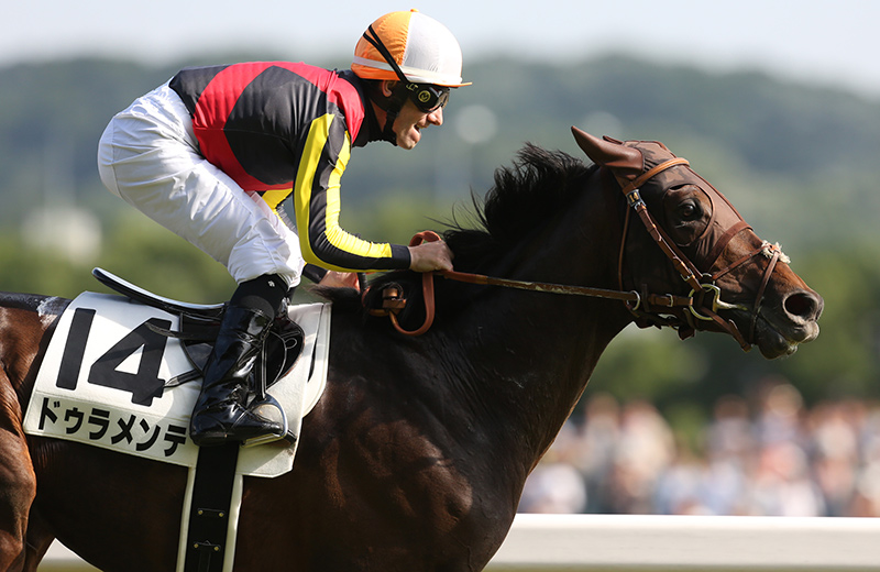 ドゥラメンテ｜名馬メモリアル｜競馬情報ならJRA-VAN