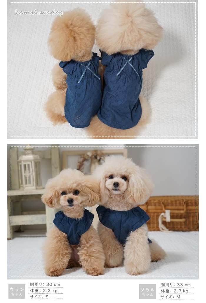 可愛い小型犬の洋服通販 鎌倉ドッグ ノーブルチュニック