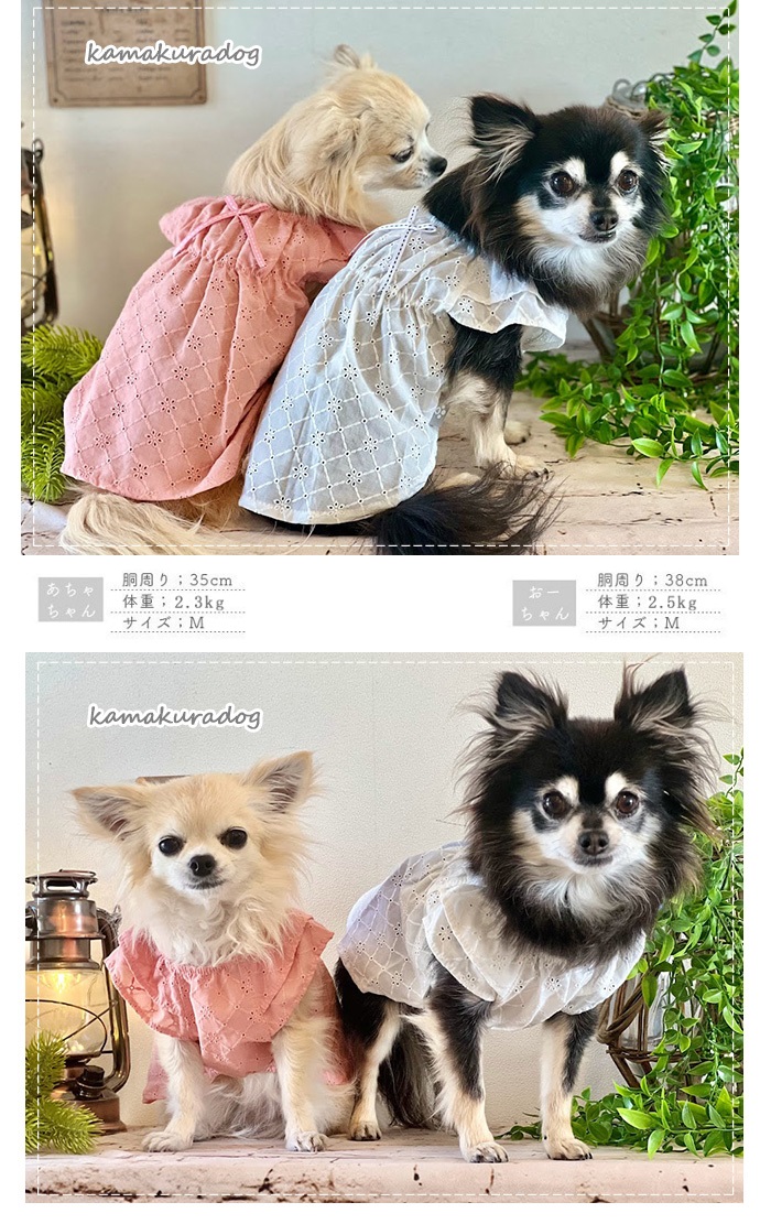可愛い小型犬の洋服通販 鎌倉ドッグ ノーブルチュニック