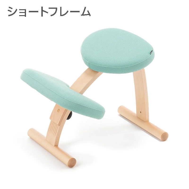 バランスラボ バランス イージー (通常フレーム) ラクに姿勢がよくなる