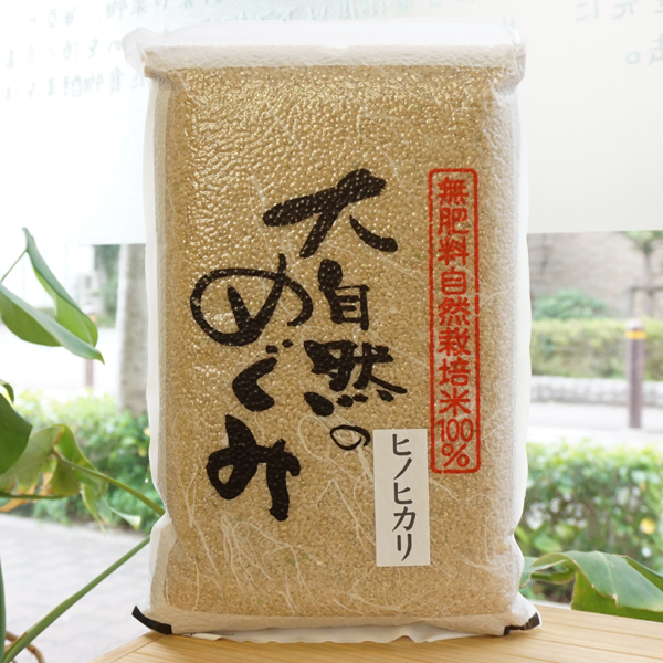 在庫残りわずか【綺麗な大粒揃い】農薬不使用 無化学肥料 ヒノヒカリ