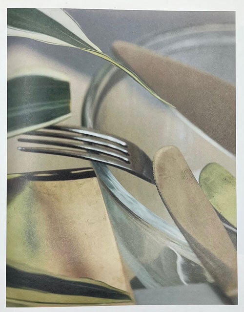 Jan Groover: Photographs | Jan Groover, John Szarkowski