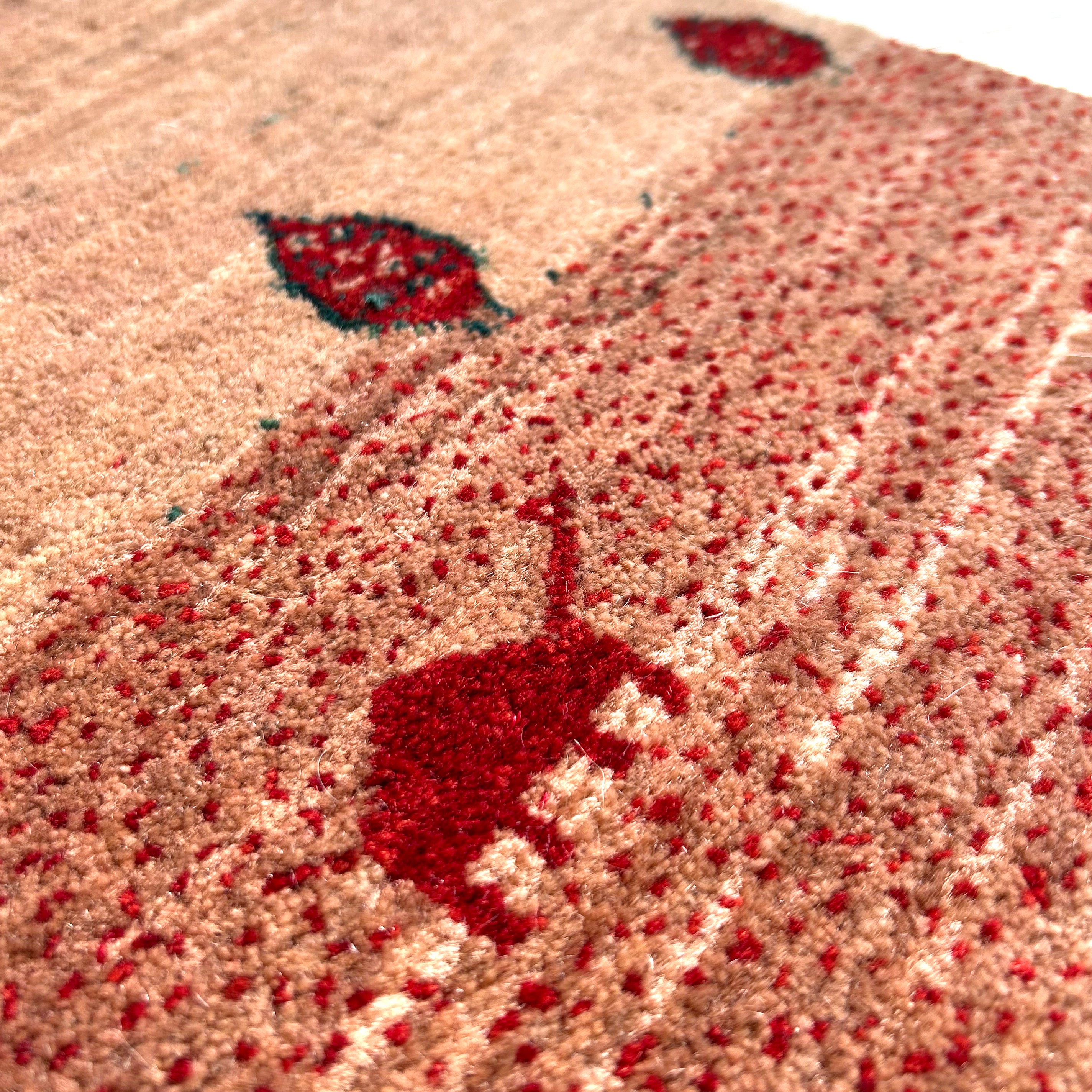 遊牧民の絨毯 】Zollanvari ゾランヴァリ ギャッベ 177×58㎝ (No.05108