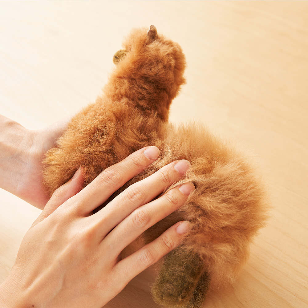 elvang｜アルパカ テディ 20*20 | KONCENT Web shop｜アッシュ