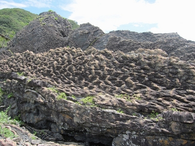 漣痕化石 | 観光スポット検索 | 高知県観光情報Webサイト「こうち旅