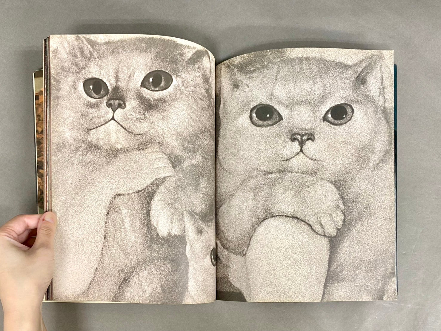 大型猫本Leonor Fini MIROIR DES CHATSレオノールフィニ 大型猫本