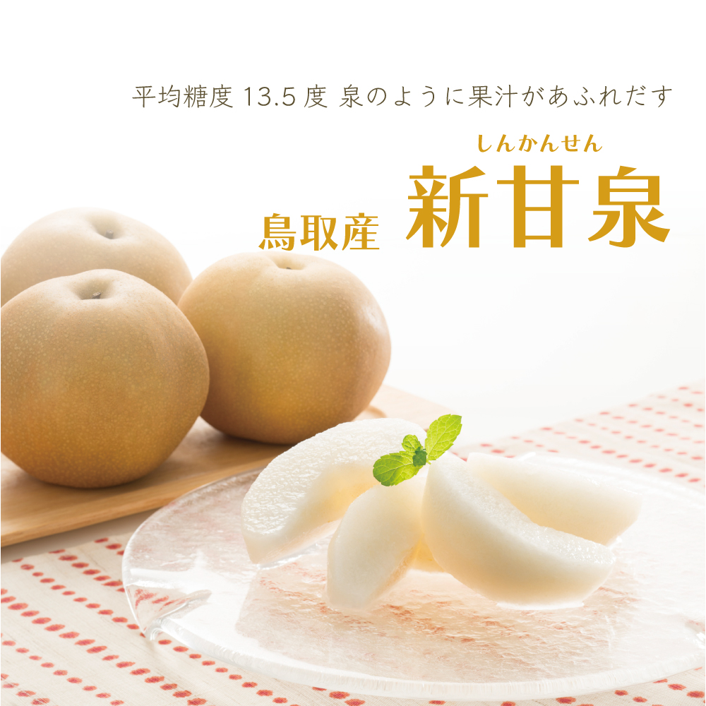 ☆甘い果汁が泉のようにあふれる！ご予約受付開始☆【送料無料