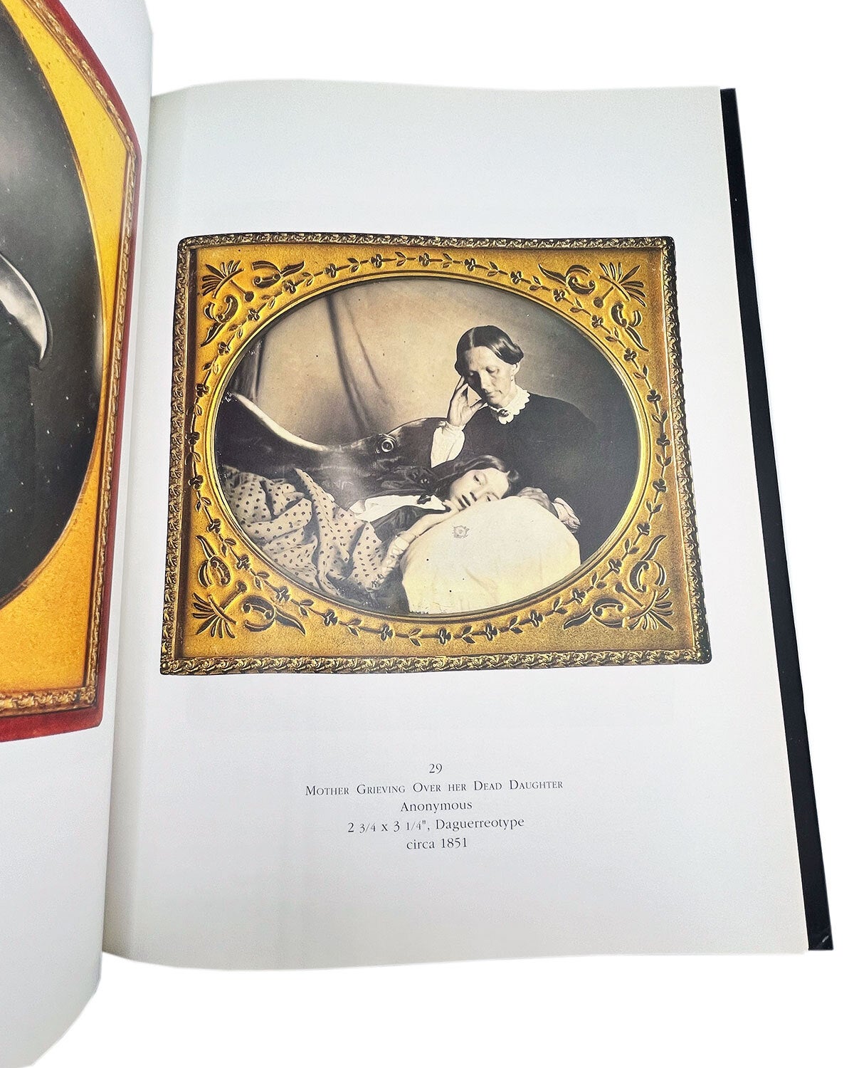 sleeping beauty: memorial photography in america | m. d stanley b