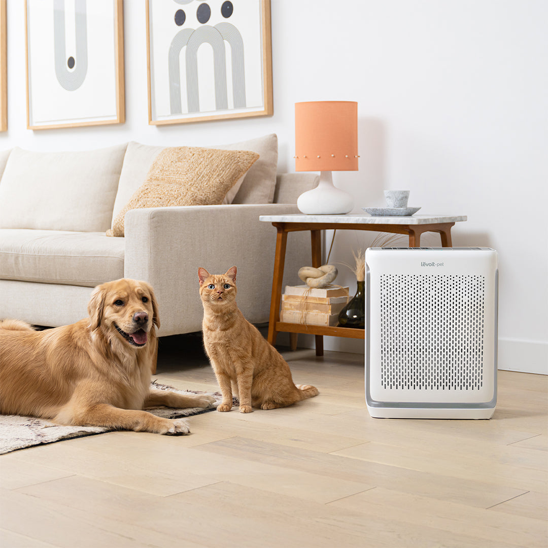 Levoit Vital 100S Smart Pet Air Purifier – Levoit-SG