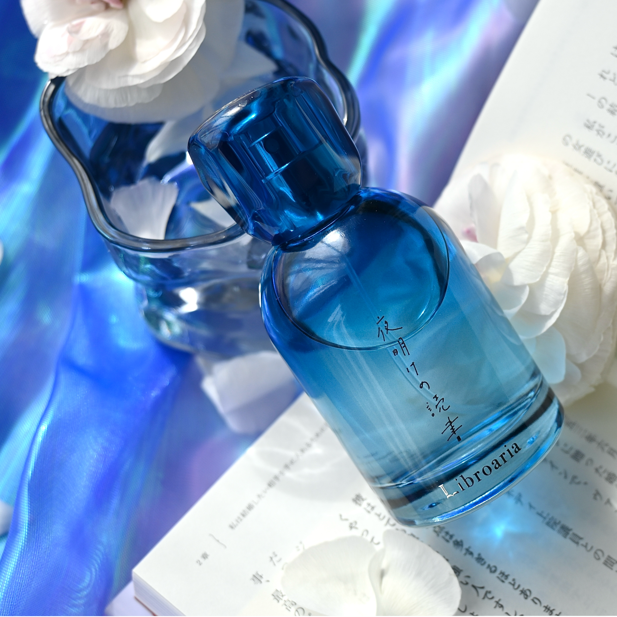 夜明けの読書 – Libroaria