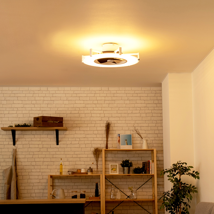 Modern Collection パネライトサーキュレーター JE-CF029 | JAVALO ELF