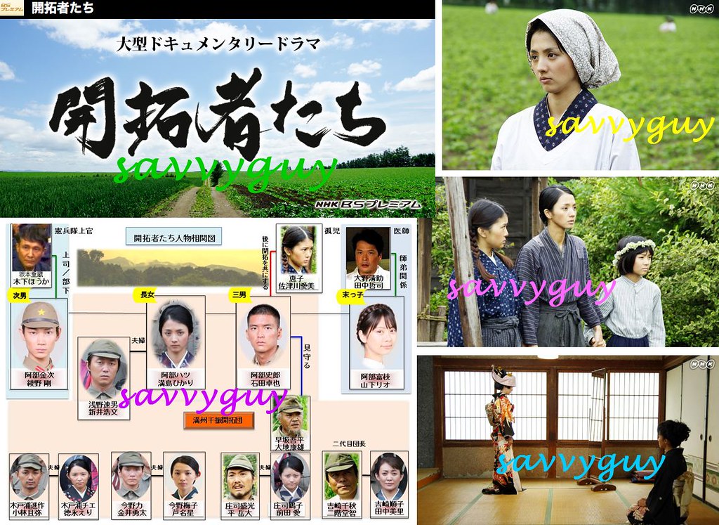 美品☆即日発送 開拓者たち〈4枚組〉DVD 満島ひかり 石田卓也 綾野剛