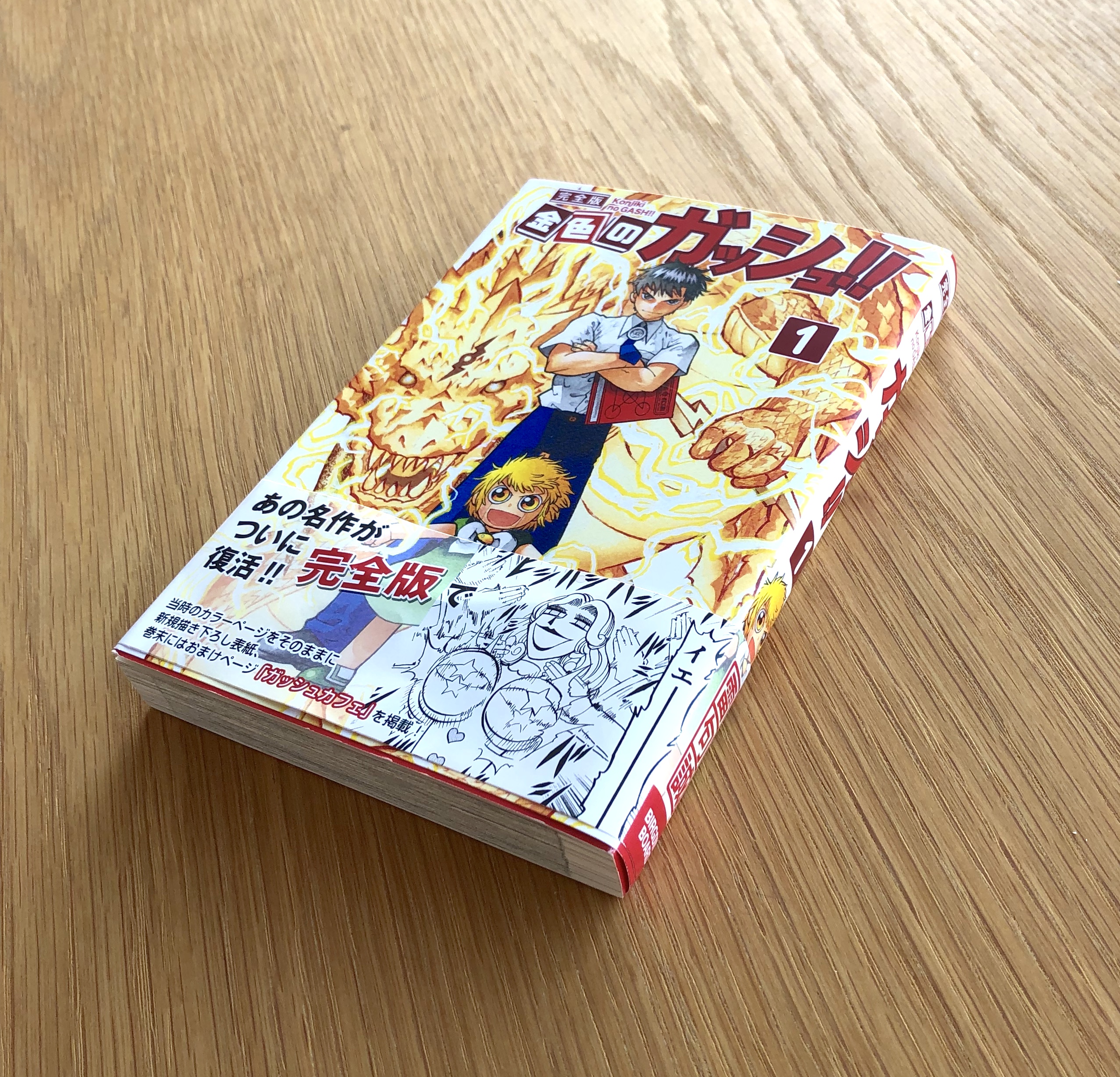金色のガッシュ 完全版 全巻購入特典 SPECIAL BOOK 金色のガッシュ