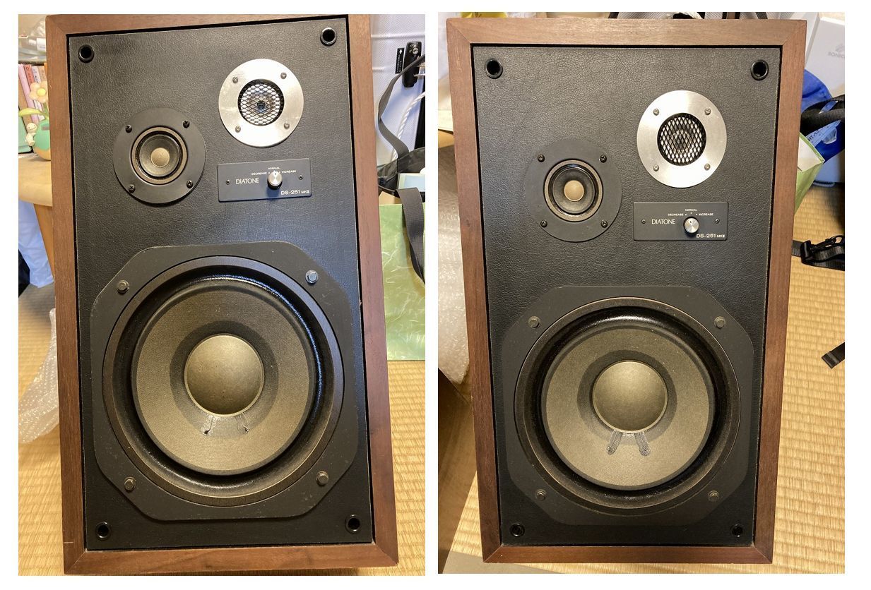 DS-251mkⅡ 初音出し : ひでじの手作りオーディオ