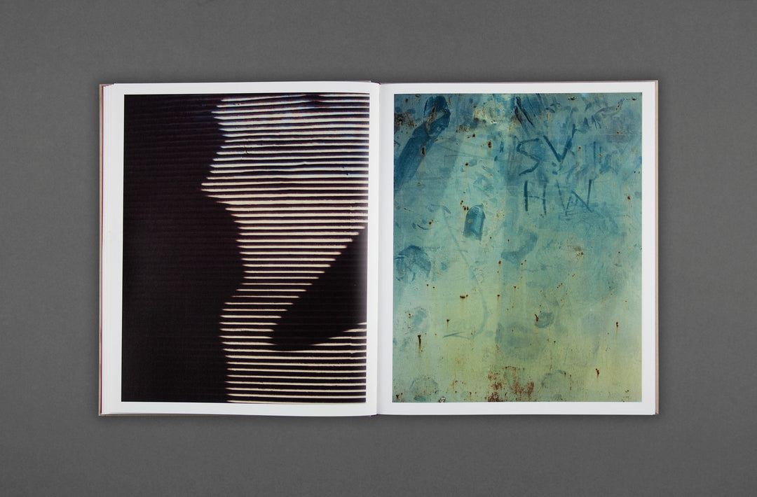 絶版」PAINTINGS by Harley Weir Harley Weir 人気 Paintings