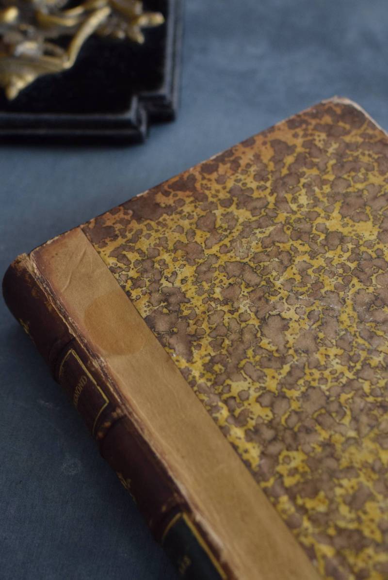 アンティークブック.49 古書 アンティーク本 フランスディスプレイ