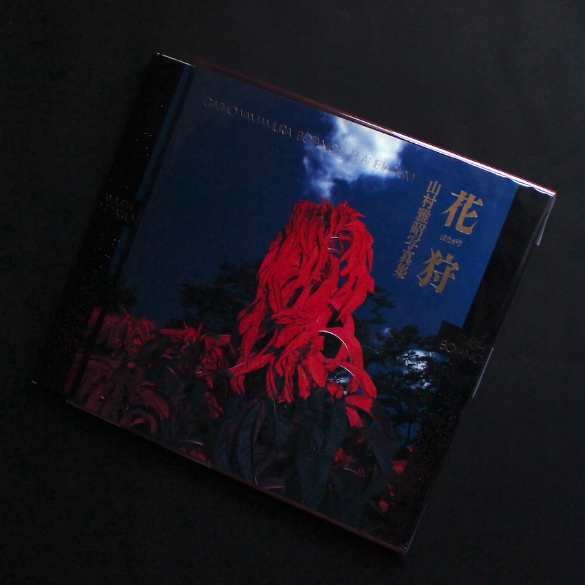 花狩 / Botanical Planetarium - 山村 雅昭 / Gasho Yamamura