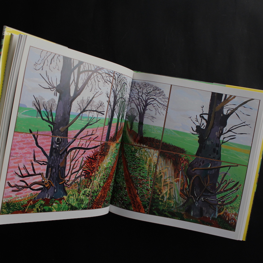 A Bigger Picture - David Hockney