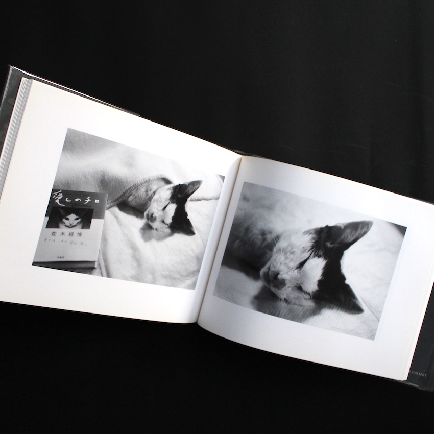 センチメンタルな旅 春の旅 / Sentimental Journey, Spring Journey