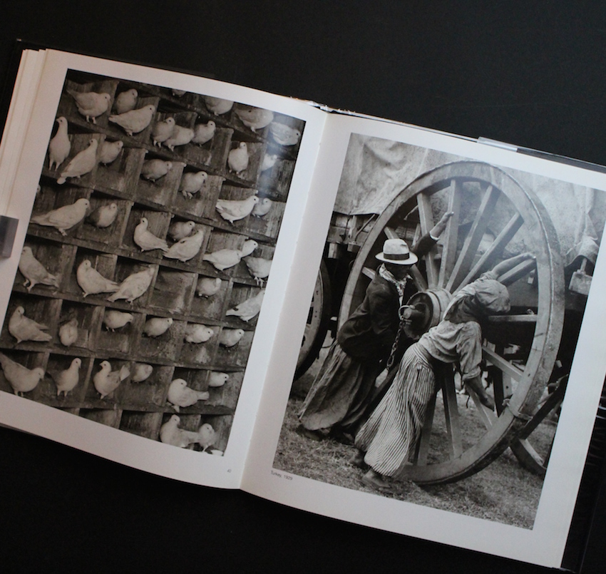 Martin Munkacsi - Martin Munkacsi