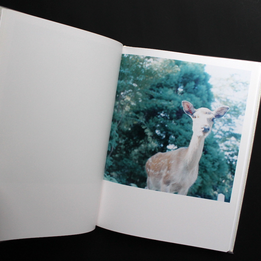 アイーラ / Aila（First Edition） - 川内 倫子 / Rinko Kawauchi