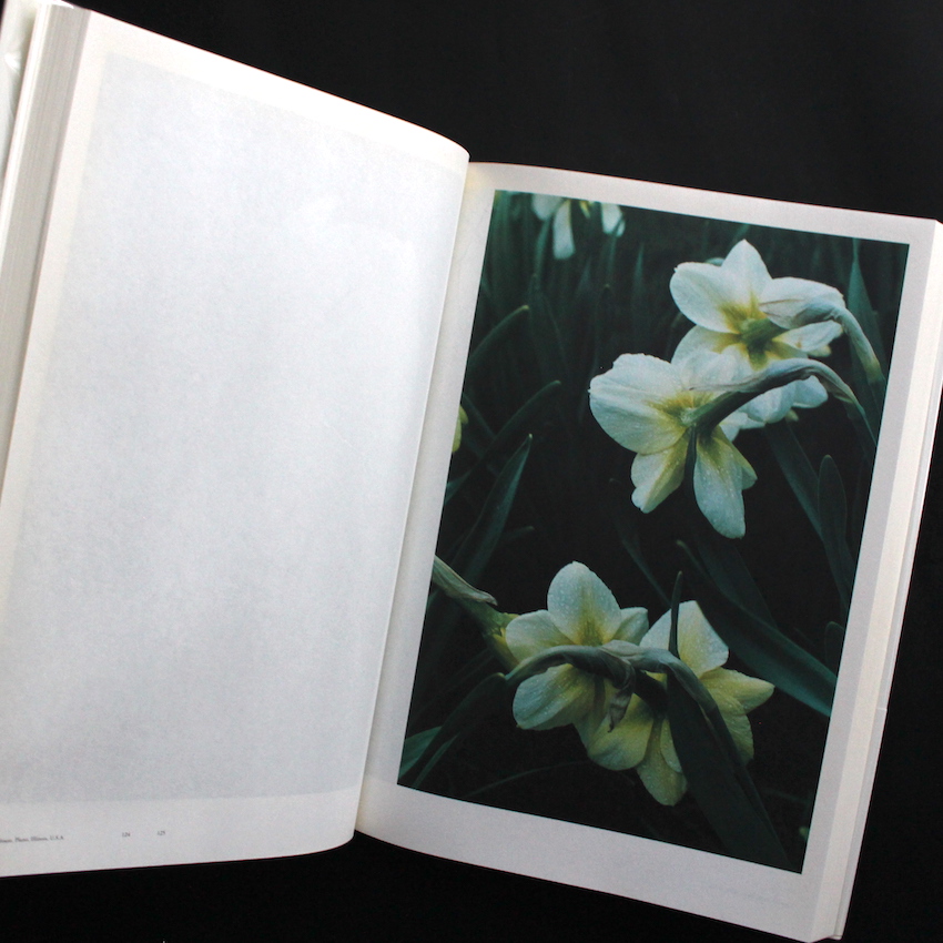 Mies Van Der Rohe（Missing Dust Jacket） - 上田 義彦 / Yoshihiko Ueda