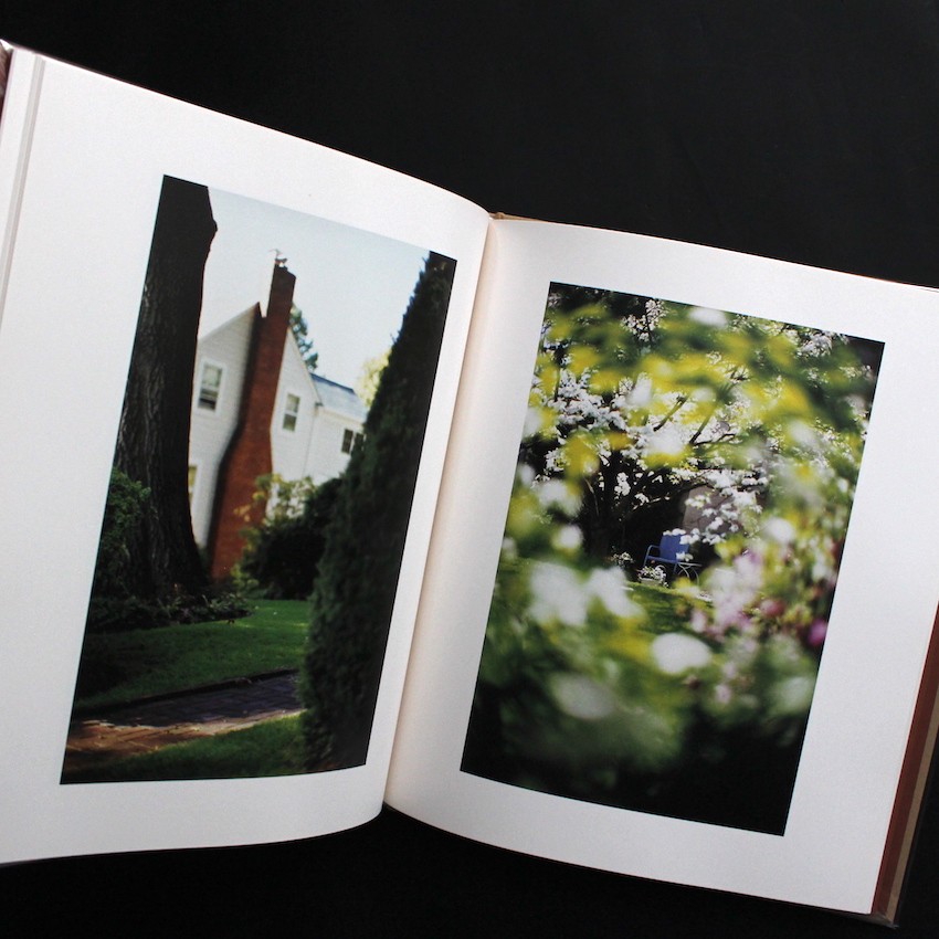 Between Maple and Chestnut - Terri Weifenbach