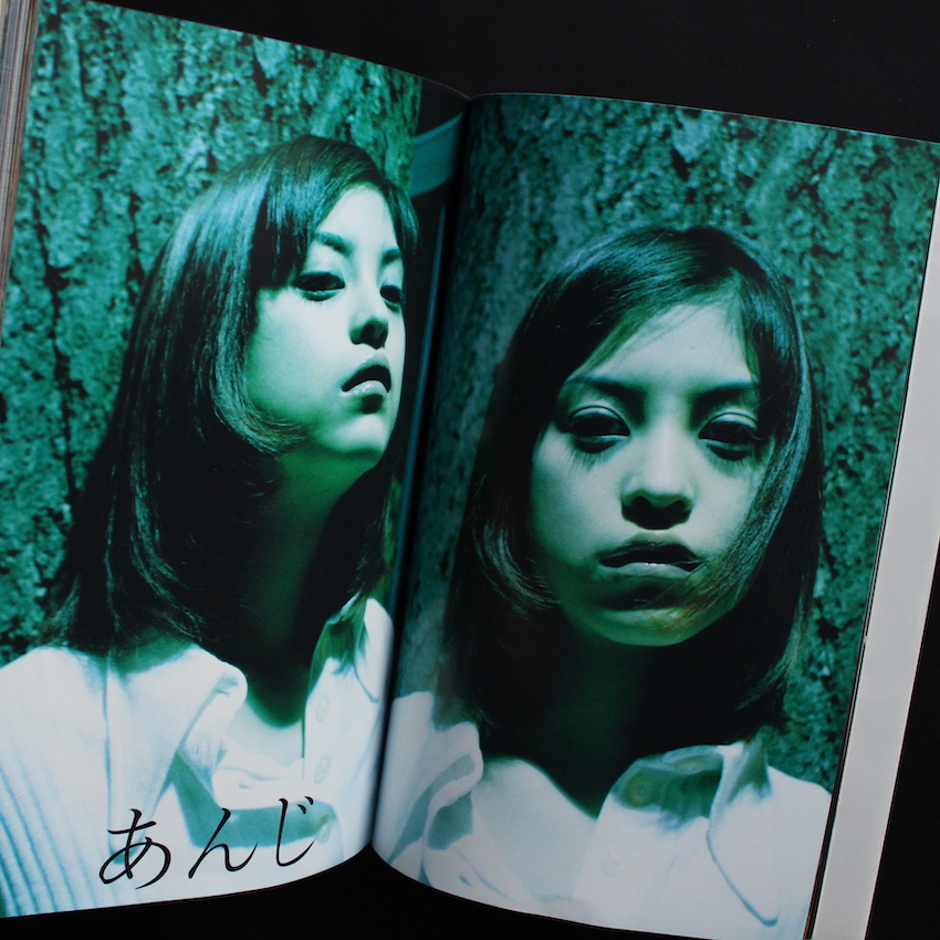 Japanese Beauty（With Leaflet） - ヒロミックス / Hiromix