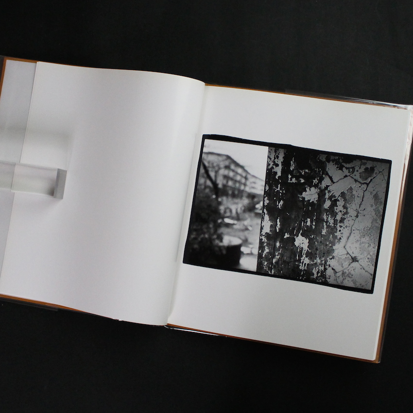 hysteric Twelve（Missing Plastic Cover） - 深瀬 昌久 / Masahisa Fukase