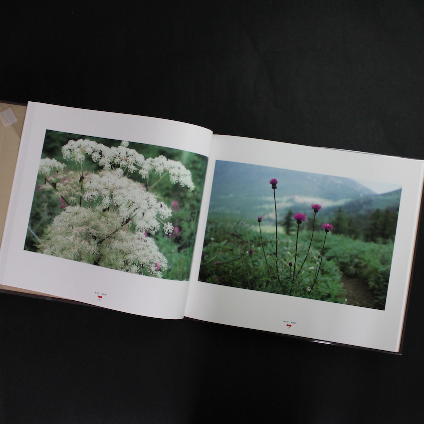 信濃遊行 / Shinano-Yugyo - 北井 一夫 / Kazuo Kitai