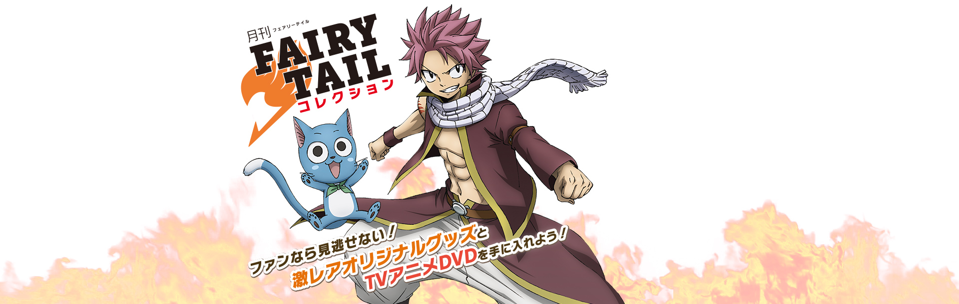 月刊FAIRYTAILコレクション
