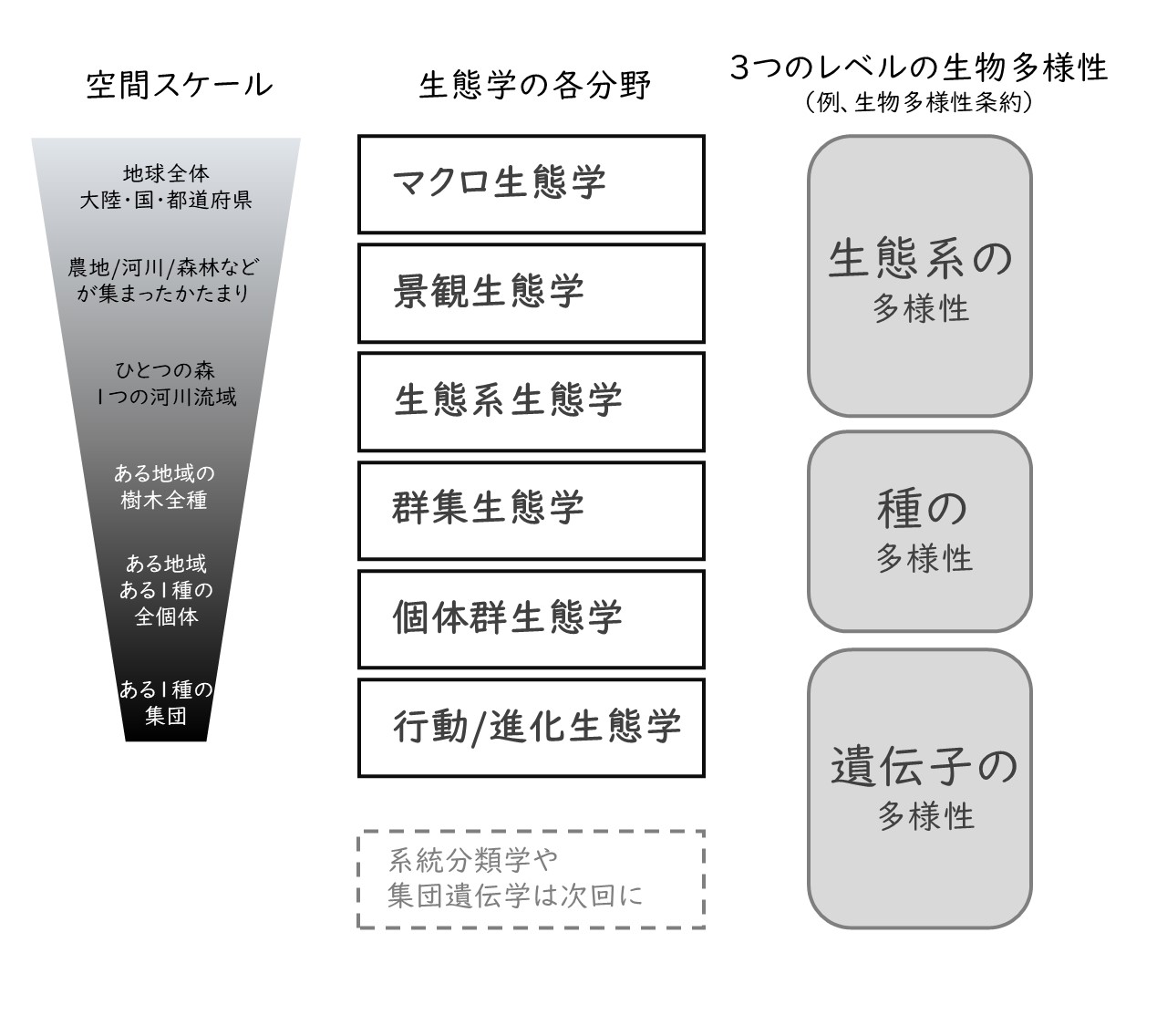 生物多様性保全のカギ① 生態学 | なぜ人は自然を守りたいのか