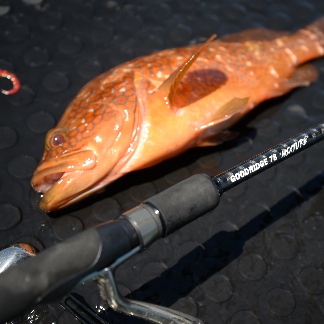 グッドリッジ | ソルトルアーブランド【MAGBITE】