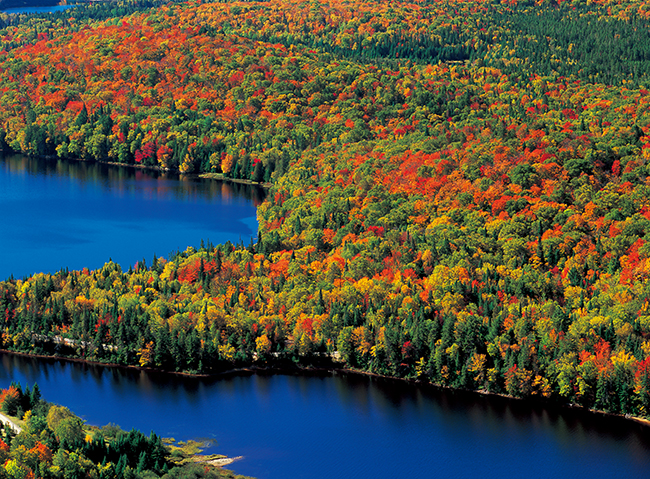 この国だけが持つ「色彩」がある写真家が語るカナダの魅力 | 毎日が