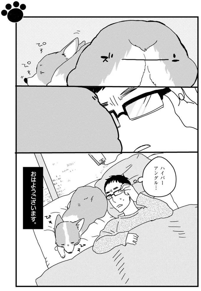 あしょんでよッ ～うちの犬ログ～ 1～10』 | 毎日が発見ネット