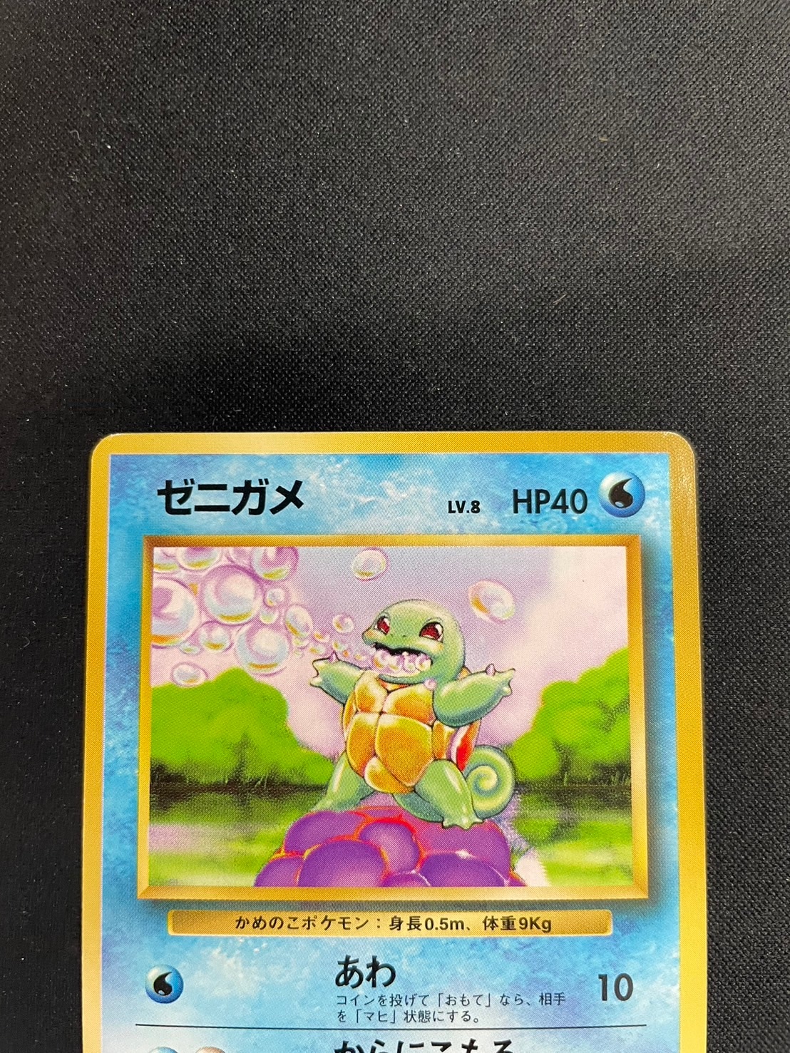 旧裏】【初版】ゼニガメLV.8【状態B】