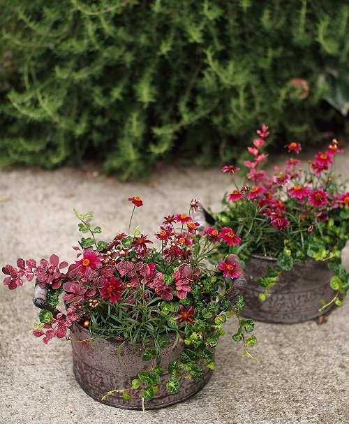 花 4152e219fcf455604c2fd27998f9b4