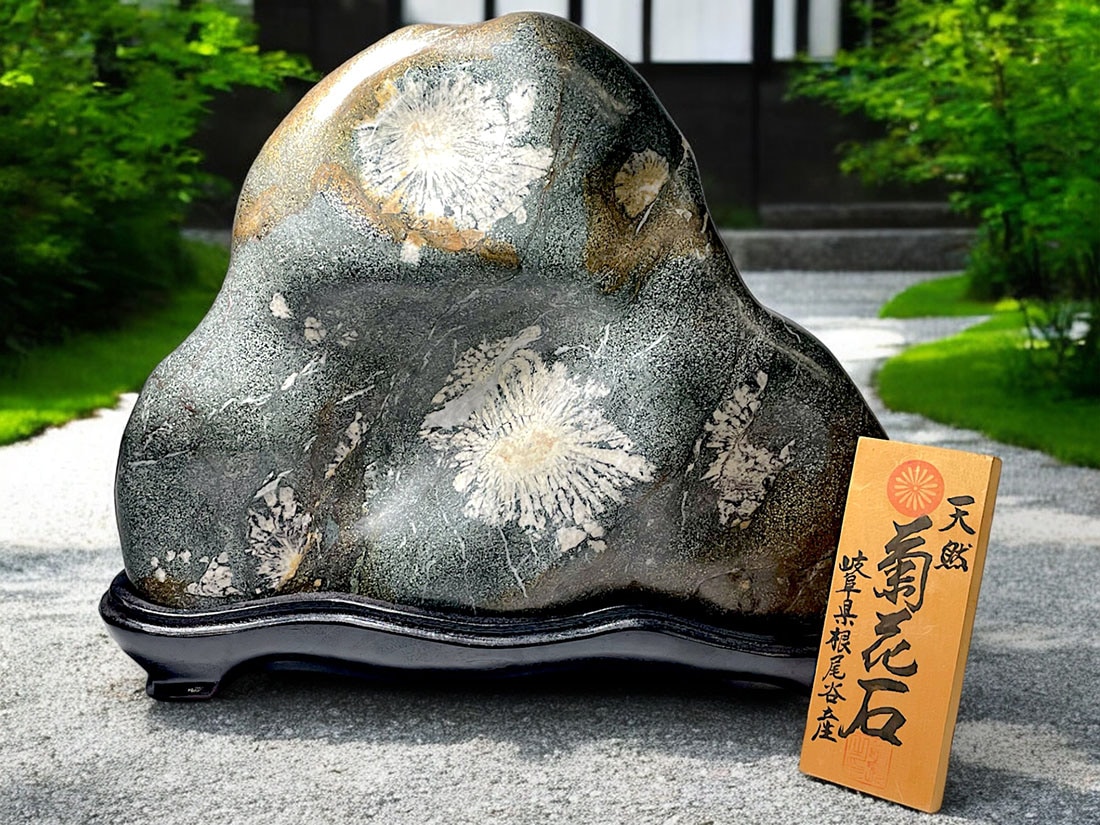 岐阜県根尾谷産 大型 天然 菊花石 (木製台座付き)