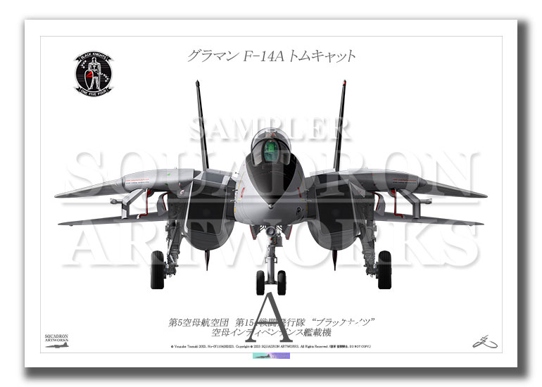 Front View” F-14A トムキャット VF-154 “Black Knights 100” (A4