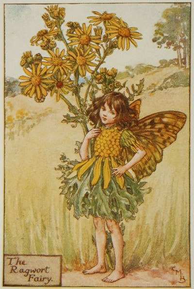 シシリー・メアリー・バーカー 挿画本「花の妖精・夏」 | | アトリエ