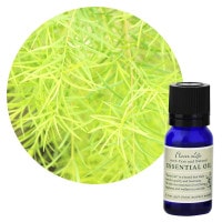 フレーバーライフ】グレープフルーツ｜エッセンシャルオイル（精油